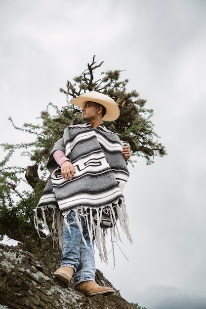 Cowboy che indossa un poncho seduto sotto un albero nel cielo