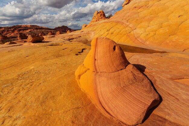 Coyote Buttes della Vermillion Cliffs Wilderness Area, Utah e Arizona