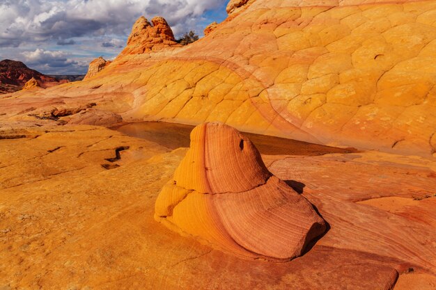 Coyote Buttes della Vermillion Cliffs Wilderness Area, Utah e Arizona