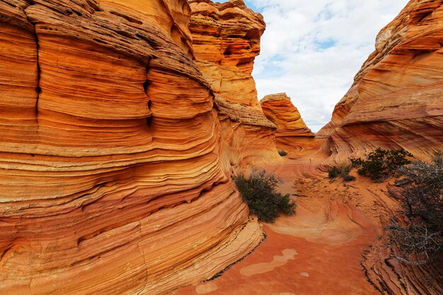 Coyote Buttes della Vermillion Cliffs Wilderness Area, Utah e Arizona