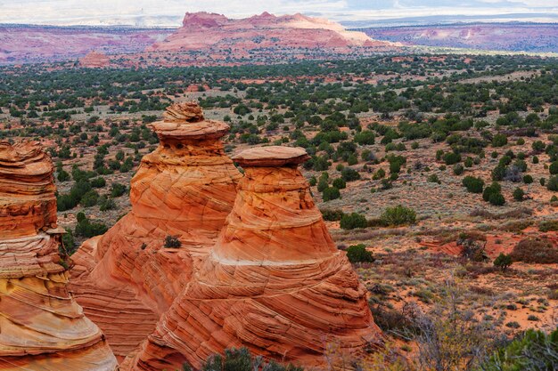 Coyote Buttes della Vermillion Cliffs Wilderness Area, Utah e Arizona