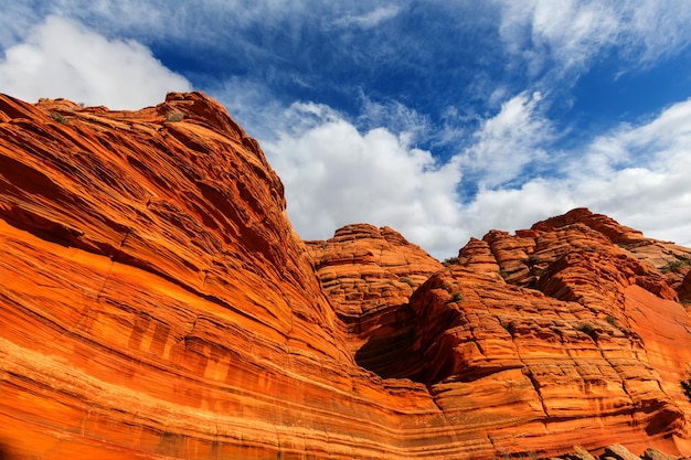 Coyote Buttes della Vermillion Cliffs Wilderness Area, Utah e Arizona