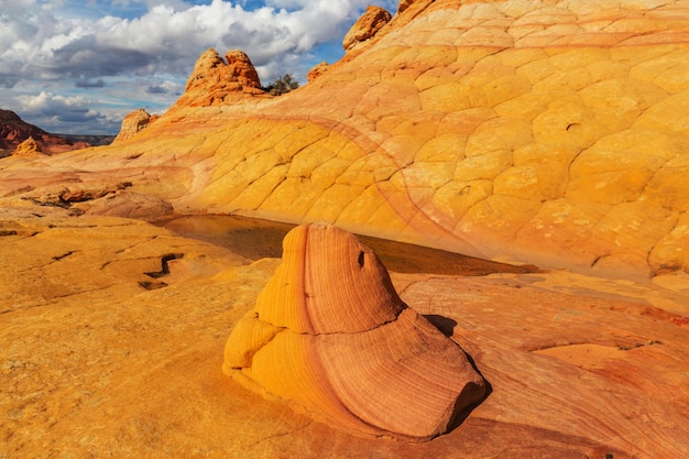 Coyote Buttes della Vermillion Cliffs Wilderness Area, Utah e Arizona