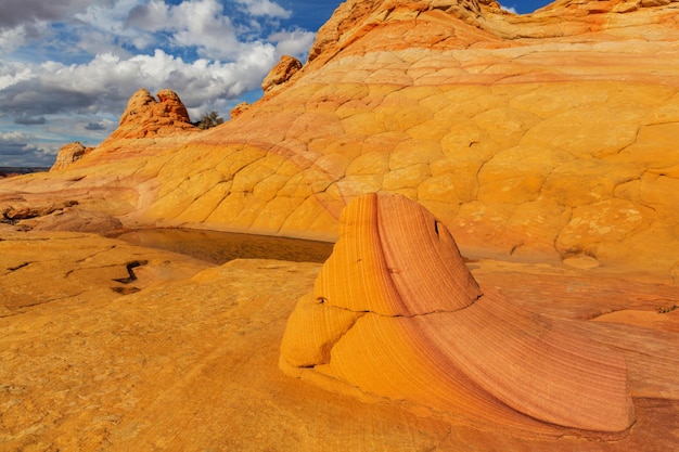 Coyote Buttes della Vermillion Cliffs Wilderness Area, Utah e Arizona