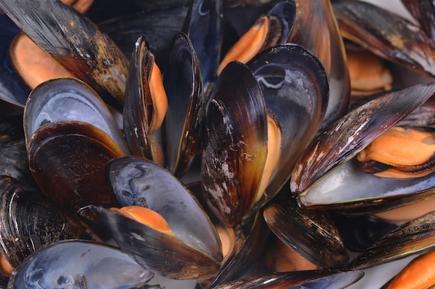 Cozze fresche