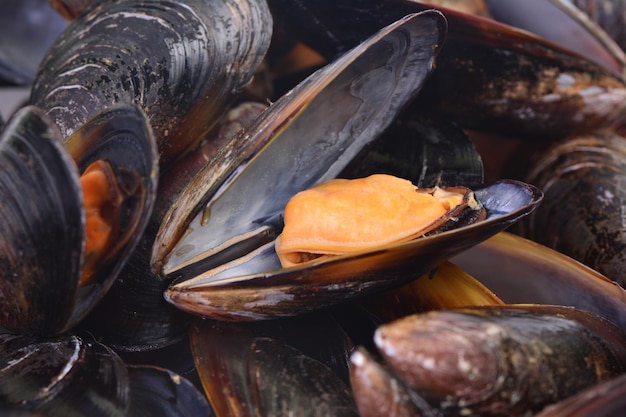 cozze fresche