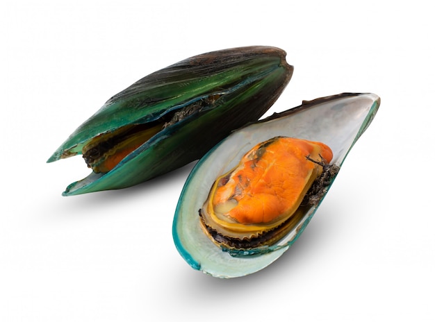 Cozze isolato su sfondo bianco