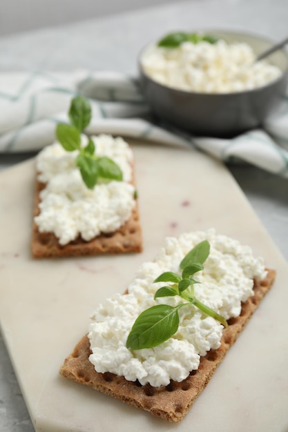 Cracker croccanti con ricotta e basilico a bordo del primo piano