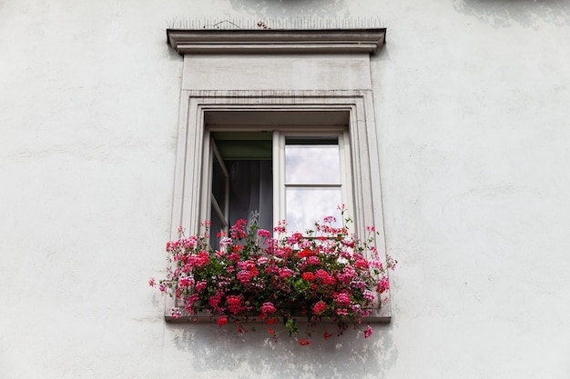 Cracovia, Polonia - 27 luglio 2013: Bella architettura della vecchia Cracovia. Finestre con fiori per le strade di Cracovia