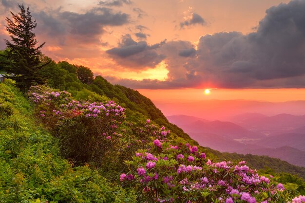 Craggy Gardens Carolina del Nord Stati Uniti