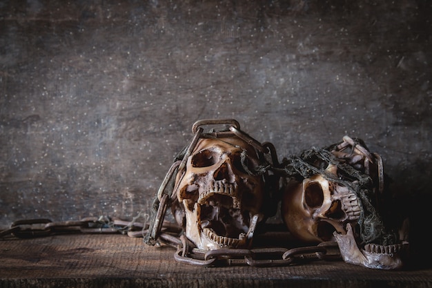cranio con catena nella fotografia di natura morta