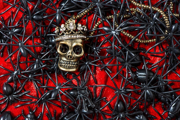 Cranio con molti ragni neri e coleotteri su sfondo rosso sanguinante. concetto di halloween