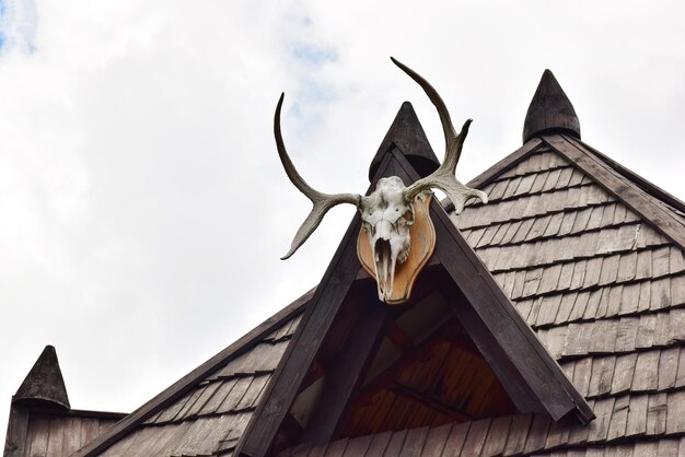 Cranio di cervo con corna sulla facciata decorativa del tetto in legno dell'edificio