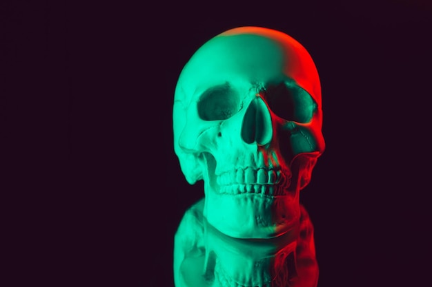 Cranio umano con riflesso speculare con luce al neon colorata