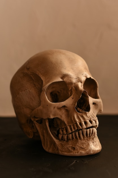Cranio umano su un nero