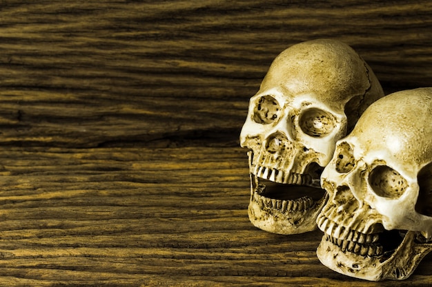 Cranio umano su vecchio fondo di legno