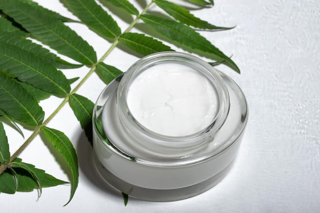 Crema idratante viso e palpebre con estratti naturali. Barattolo cosmetico in vetro con foglie. Prodotto cosmetico naturale