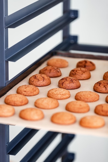 Cremagliera di metallo con i biscotti appena sfornati su una priorità bassa bianca.