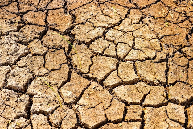 Crepe nel terreno secco nella stagione arida