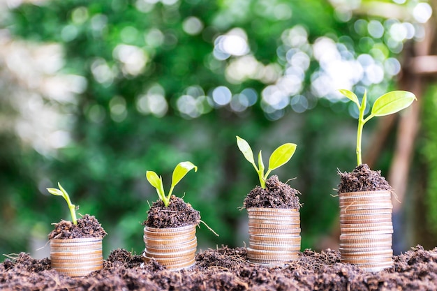 Crescita finanziaria che impila monete che impilano quattro pile e piantano alberi su sfondi bokeh di ordine crescente