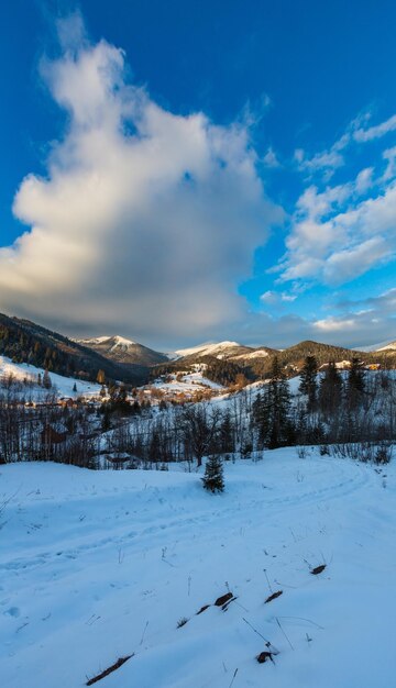 Cresta della montagna di inverno di mattina di alba