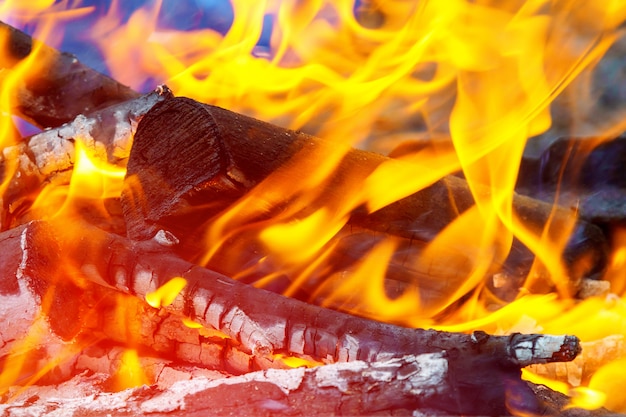 Cresta di fuoco sul fuoco del camino in legno