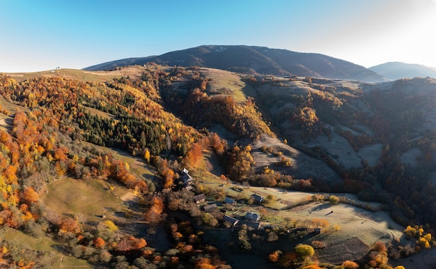 Cresta montuoso con alberi ingialliti autunnali alla luce del sole