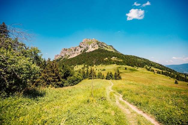 Cresta sulle montagne della Slovacchia mala fatra Escursionismo nel paesaggio delle montagne della Slovacchia Viaggiatore turistico Parco nazionale Mala Fatra Picco di Rozrutec