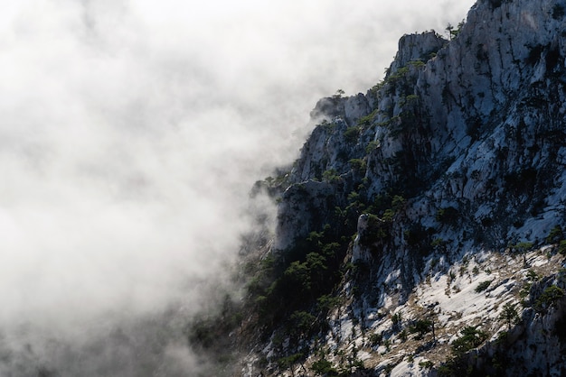 Creste rocciose ricoperte di pini nella nebbia, vista dall'alto delle montagne, concetto di ricreazione, turismo, contemplazione, meditazione, bellezza della natura