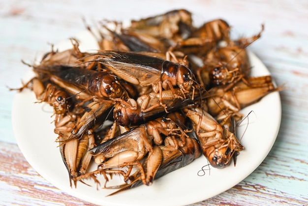 Cricket insetto su sfondo bianco piatto grillo insetto relativo alle cavallette per il cibo in asiatico