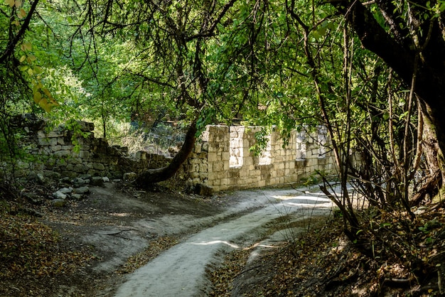 Crimea Bakhchisarai 13092019 Vecchio cimitero musulmano