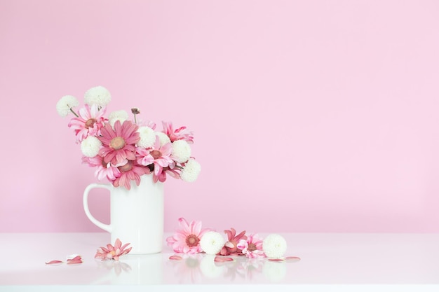 Crisantemi bianchi e rosa in tazza bianca su sfondo rosa