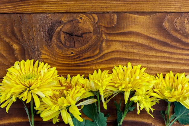 Crisantemi gialli su fondo di legno. Vista dall'alto, copia spazio