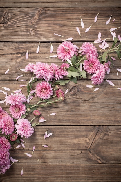 Crisantemi rosa su fondo di legno scuro