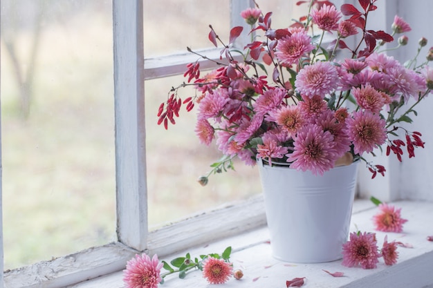 Crisantemi rosa sul davanzale bianco