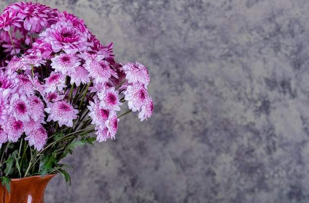 Crisantemo Mazzo di fiori di crisantemo rosa con punte bianche sui petali