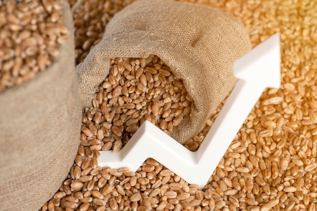 Crisi alimentare mondiale Primo piano dei chicchi di grano Raccolto di grano scarso raccolto Contratti derivati sul prezzo del grano sul prezzo del grano
