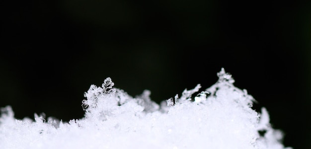 Cristalli di neve e panorama di sfondo verde