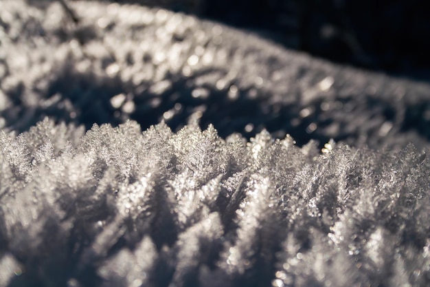 Cristallo di ghiaccio retroilluminato sulla neve in inverno natura retroilluminata dal sole serale