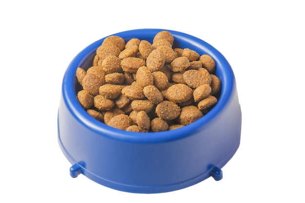 Crocchette di cibo secco per cani o gatti in una ciotola blu Cibo per animali domestici