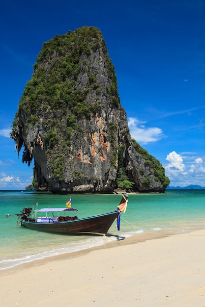 Crogiolo di coda lunga sulla spiaggia Tailandia