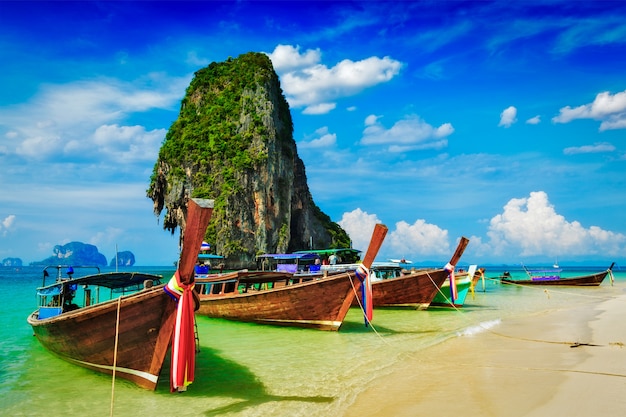 Crogiolo di coda lunga sulla spiaggia, Tailandia