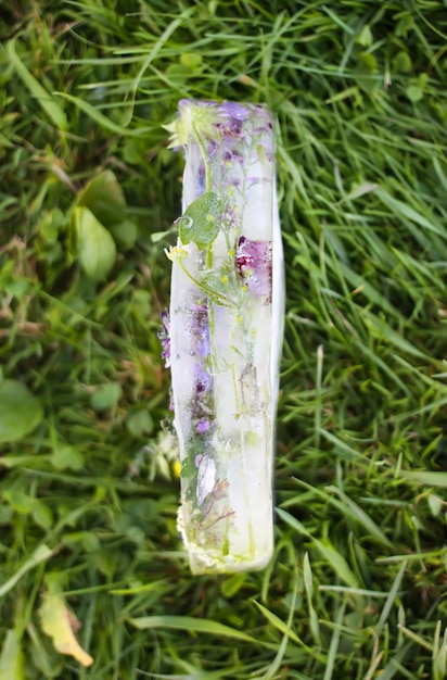 Cubetto di ghiaccio con fiori sull'erba verde in estate.