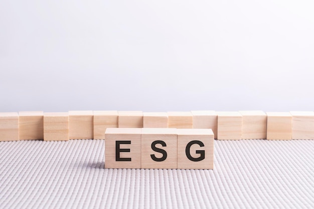 Cubo di legno con la lettera della parola ESG. cubi di legno in piedi su sfondo grigio. ESG - abbreviazione di governance sociale ambientale