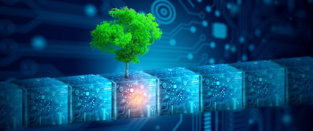 Cubo digitale con albero contro natura Ecologia Energia e concetto di ambiente
