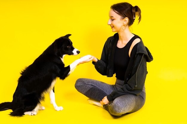 Cuccino che impara ad obbedire allenamento del cane proprietario che dà il premio al cane isolato background border collie