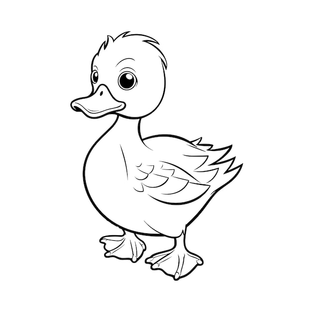 Cuccioli di anatra da colorare per bambini