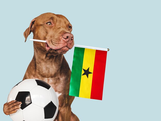 Cucciolo affascinante che tiene bandiera nazionale del Ghana