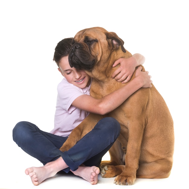 cucciolo bull mastino e bambino