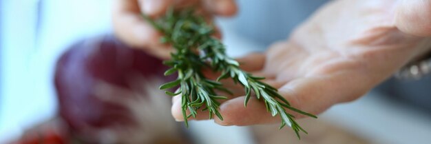 Cucina a mano e rosmarino organico verde fresco in primo piano